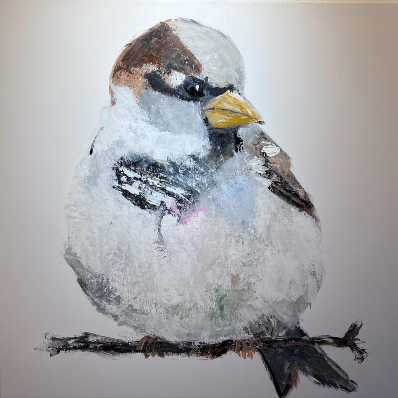 gråspurv i vinterfjer maleri udført i akryl på lærred 80x80cm